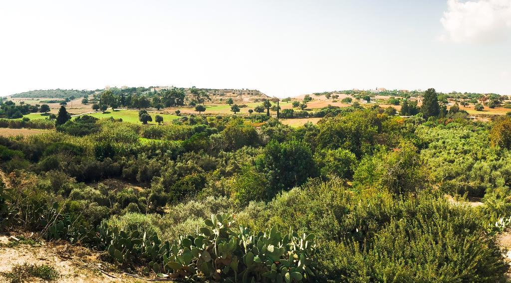 Maroni Orchard View Cottage מראה חיצוני תמונה