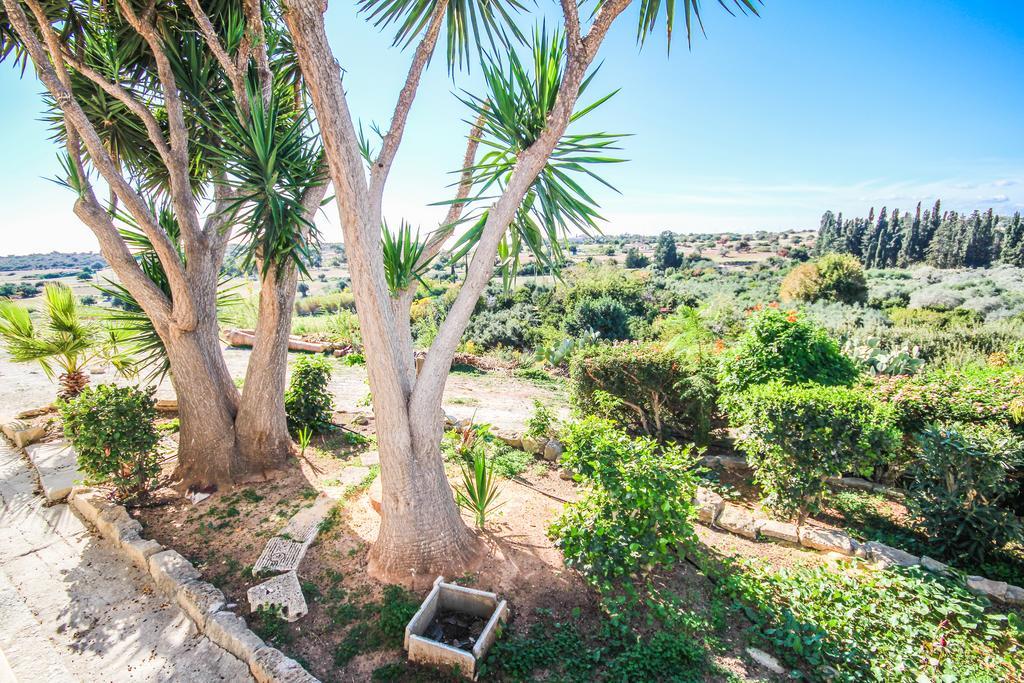 Maroni Orchard View Cottage מראה חיצוני תמונה